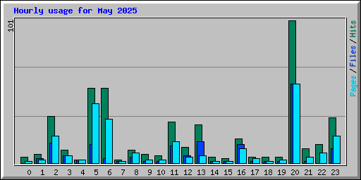 Hourly usage for May 2025