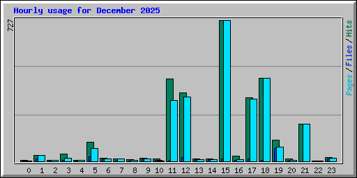 Hourly usage for December 2025