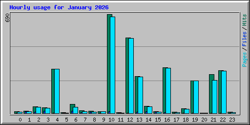 Hourly usage for January 2026